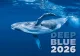 Kalendár Deep Blue
