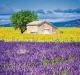 Kalendář Provence - vázanka