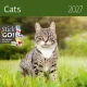 Kalendář Cats Kalendář Cats