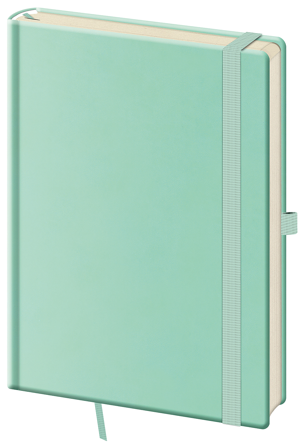 Zápisník Print Pop L linajkový Light green