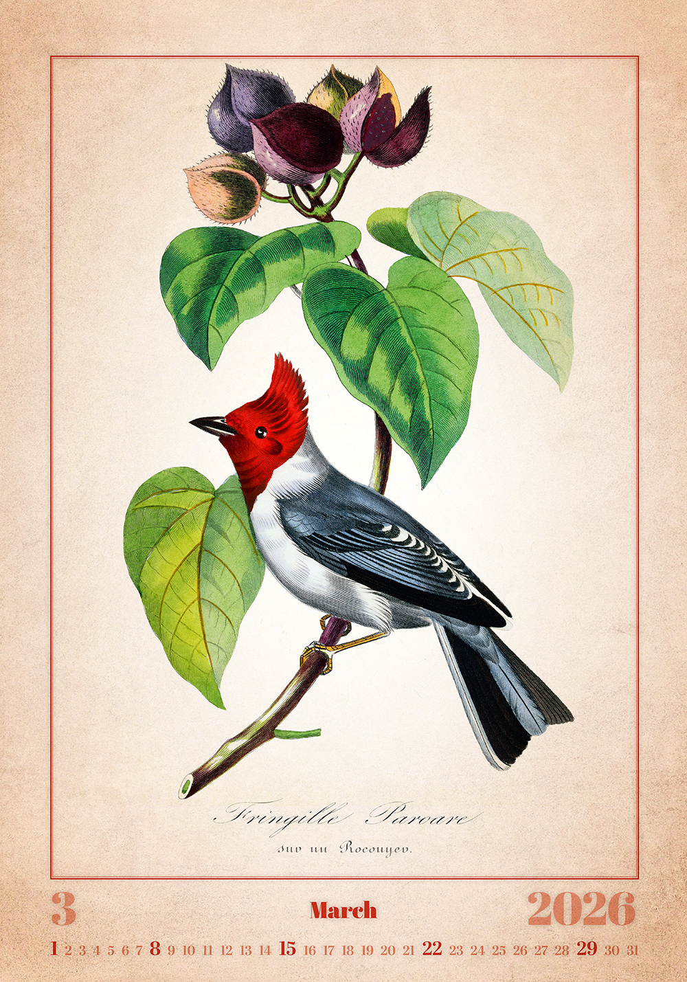 Kalendář Aviarium