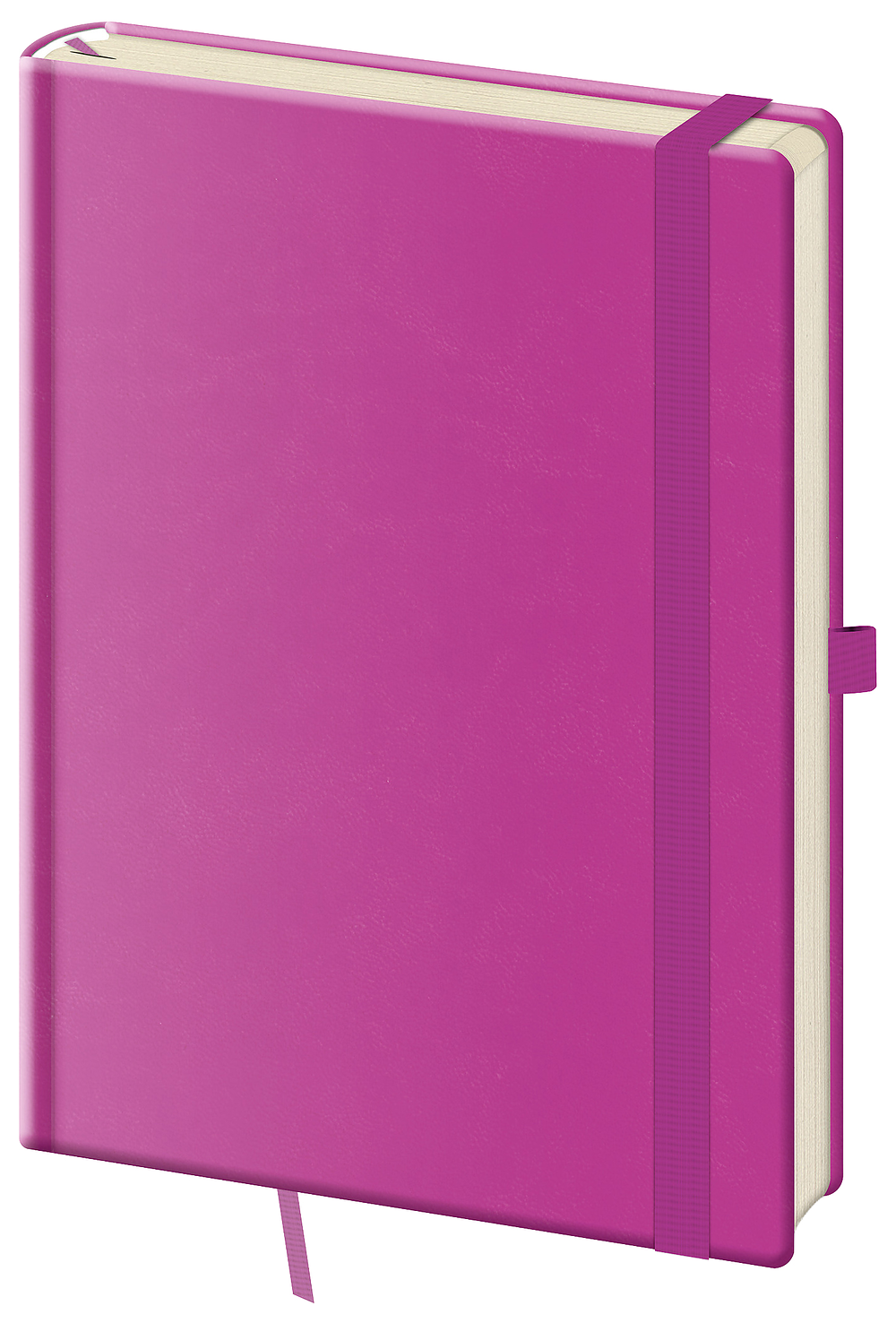 Zápisník Print Pop L linajkový VIolet