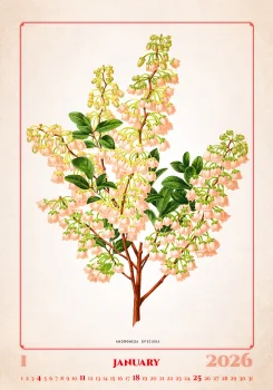 Kalendár Herbarium