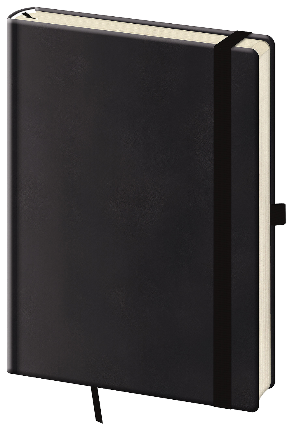 Tečkovaný zápisník Print Plus L Black (čtverečkovaný)