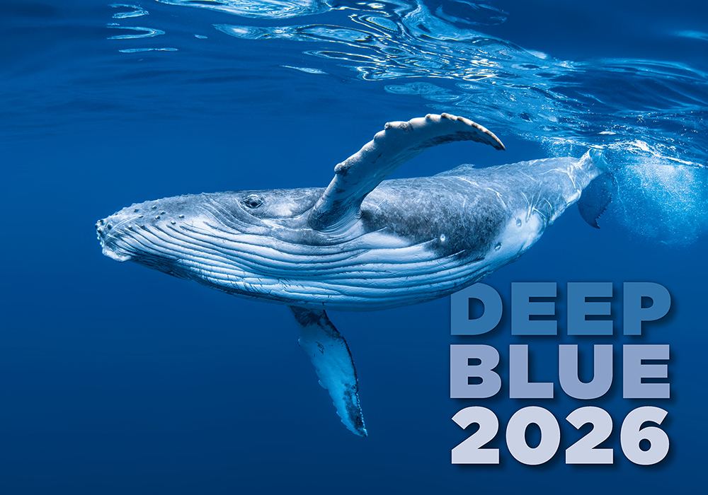 Kalendár Deep Blue