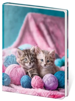 Pamätník A5 13 x 18 cm čistý Babes