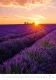 Kalendář Provence Kalendář Provence