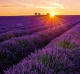 Kalendář Provence - vázanka