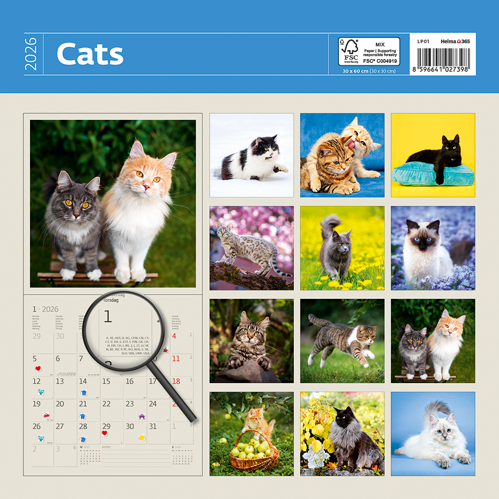 Kalendář Cats