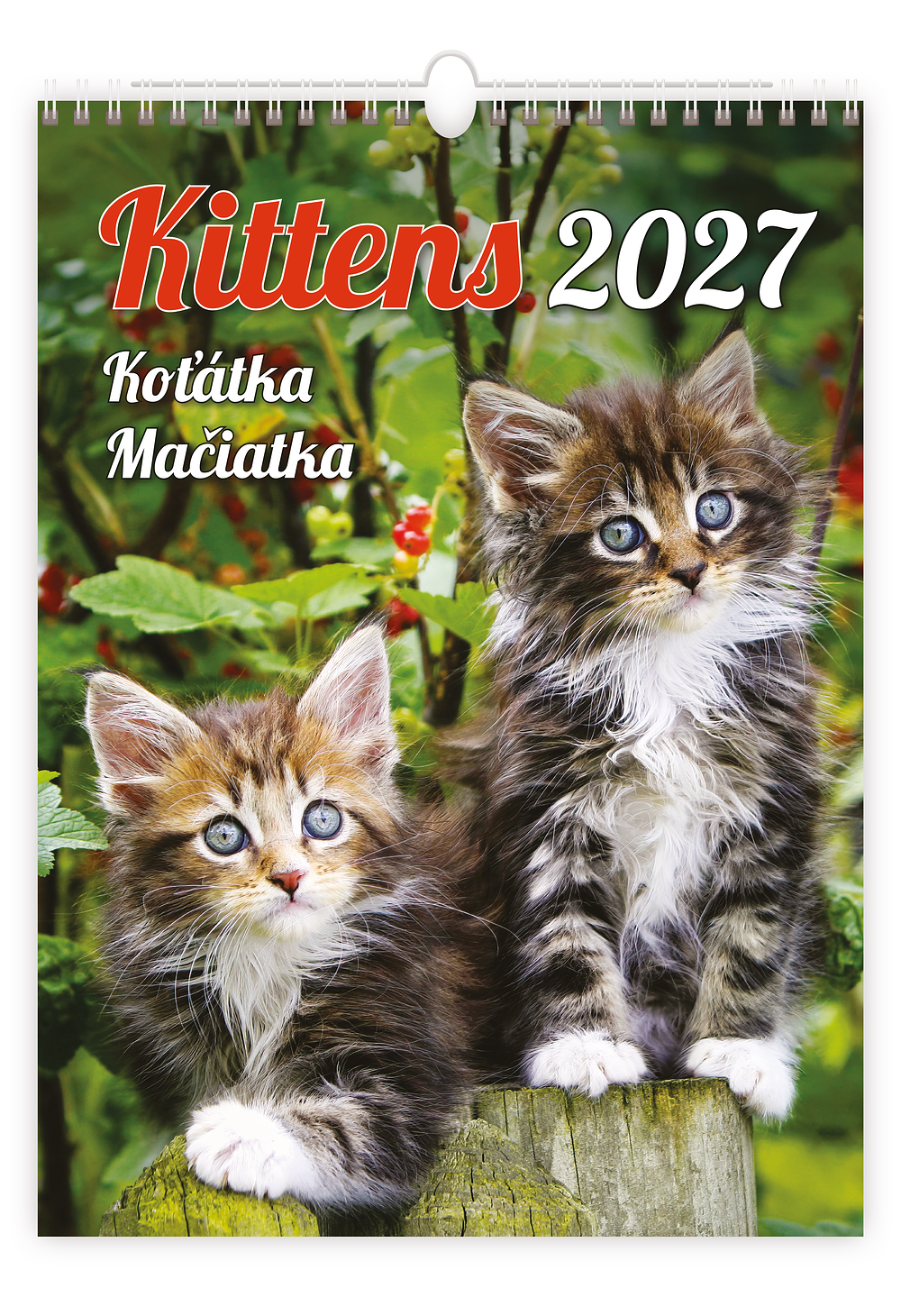 Kalendář Koťátka