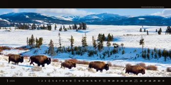 Kalendář Panoramaphoto