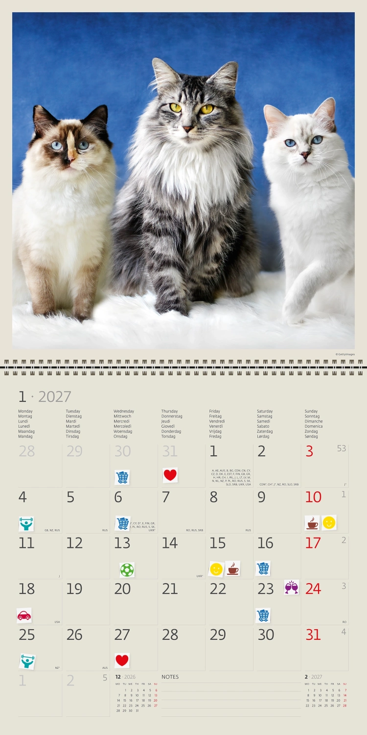 Kalendář Cats
