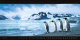 Kalendár Panoramaphoto