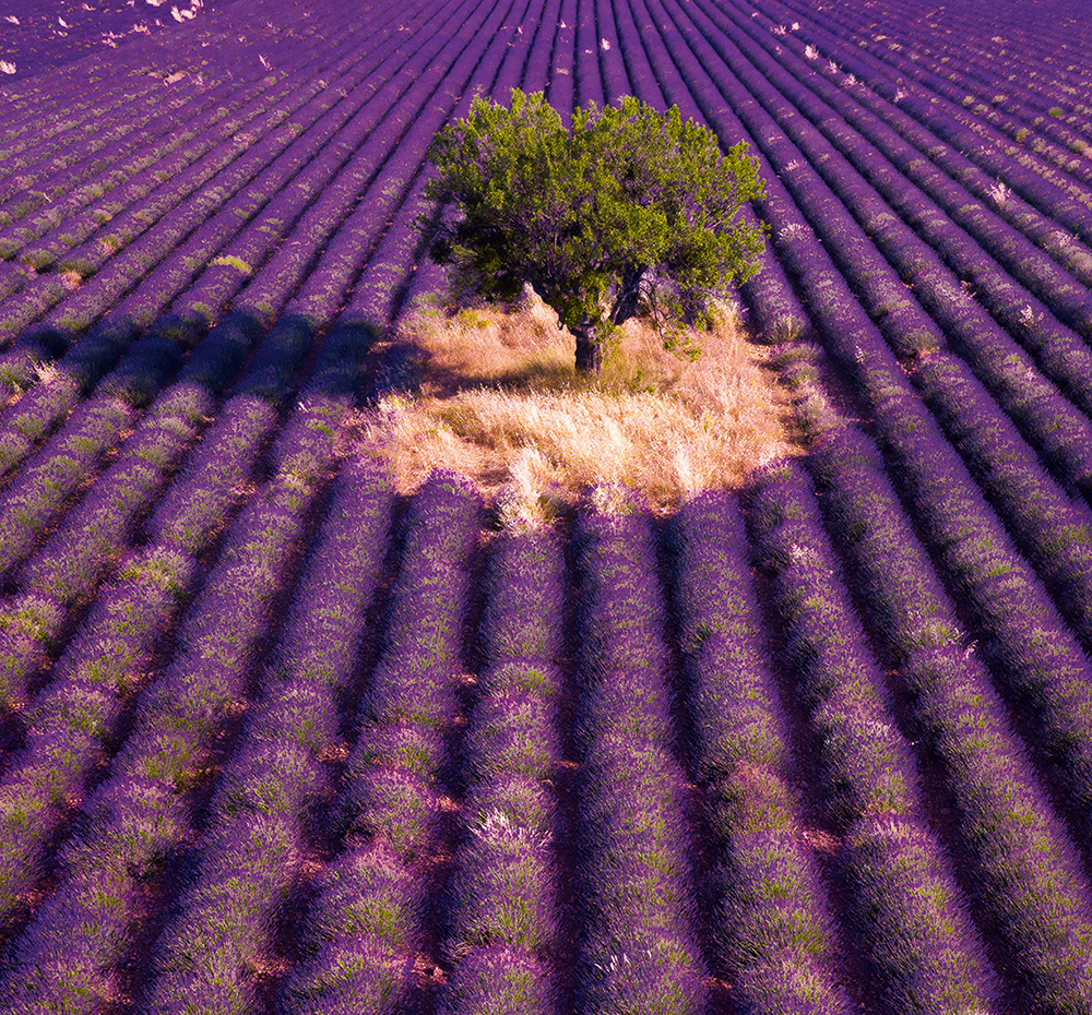 Kalendář Provence - vázanka