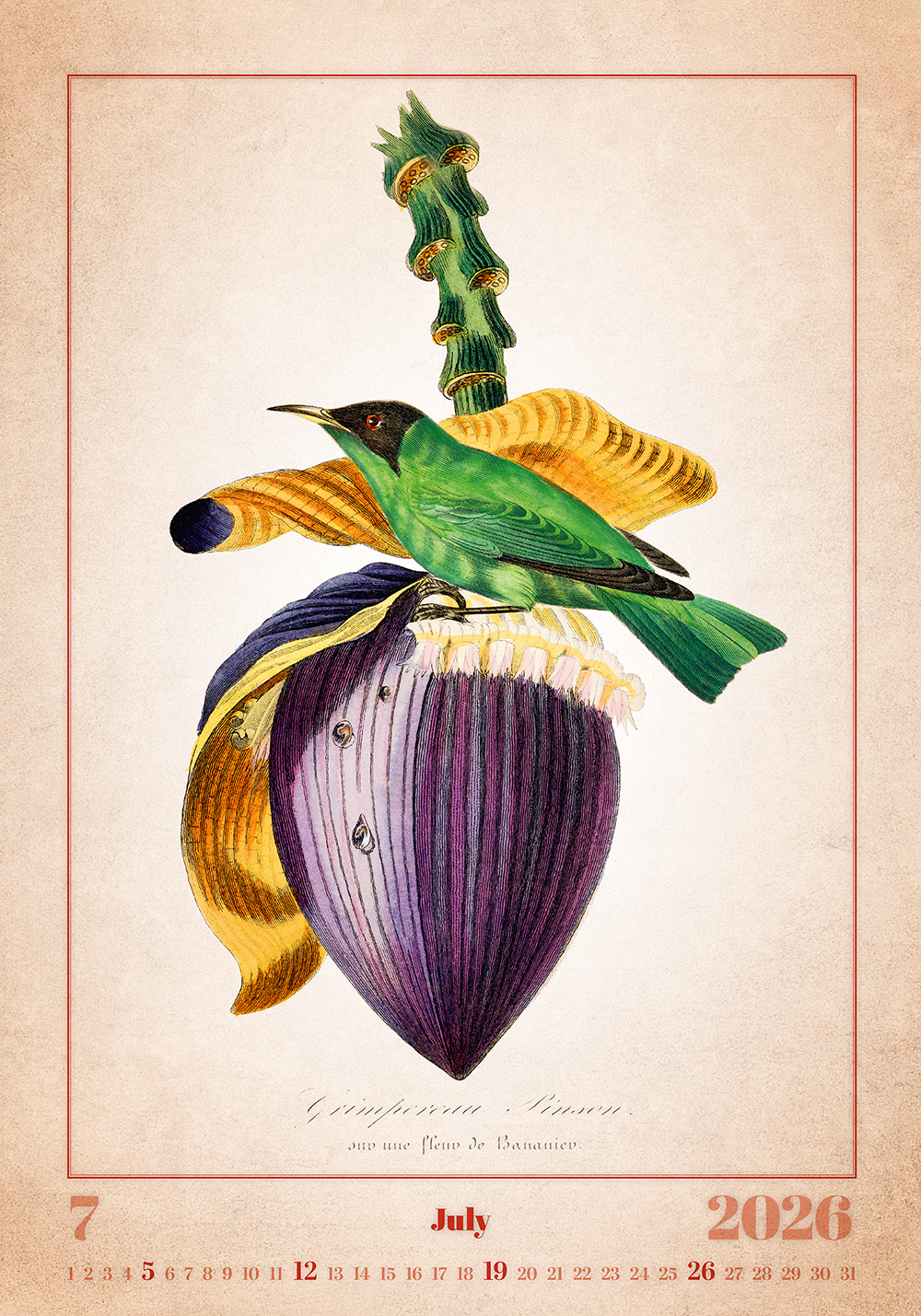 Kalendář Aviarium