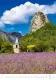 Kalendář Provence Kalendář Provence