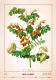 Kalendár Herbarium Kalendár Herbarium