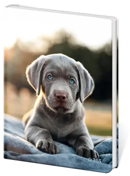 Pamätník A5 13 x 18 cm čistý Pup