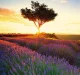 Kalendář Provence - vázanka
