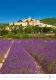 Kalendář Provence Kalendář Provence