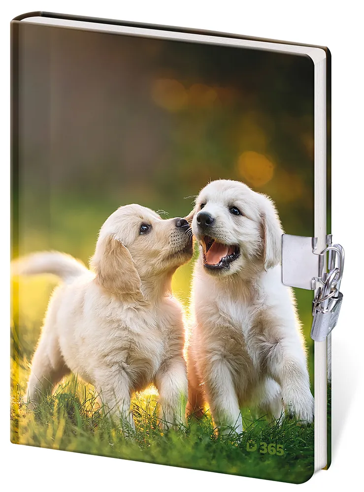 Památník 13 x 18 cm se zámkem - Fun