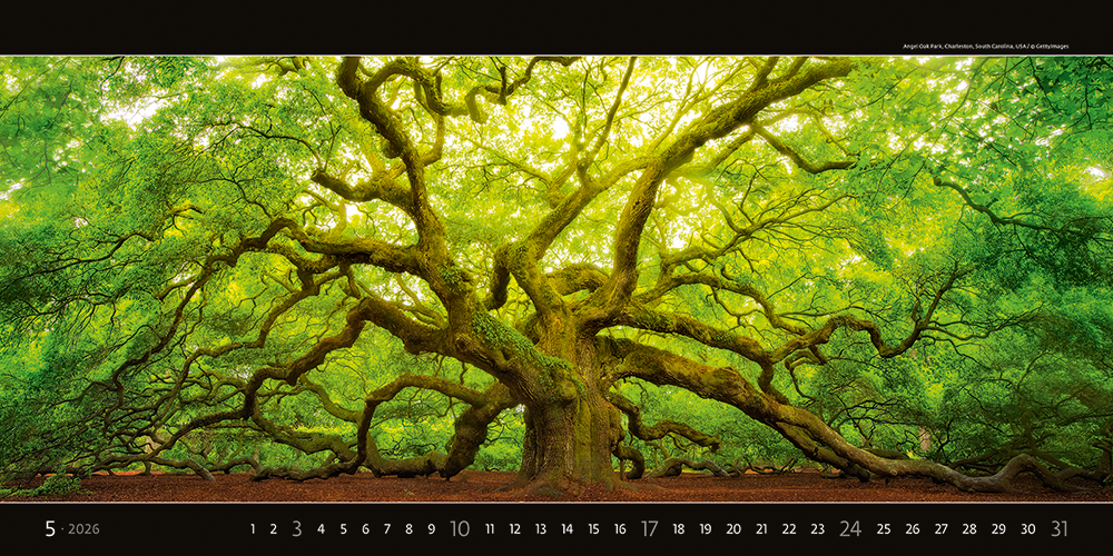 Kalendář Panoramaphoto