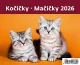 Kalendář Kočičky