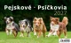 Kalendář Pejskové