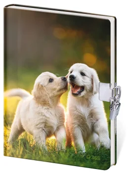 Pamätník 13 x 18 cm so zámkom - Fun