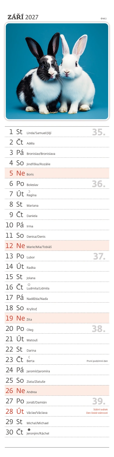 Kalendář Mazlíčci - vázanka