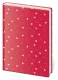 Zápisník Vario L linajkový - Hearts
