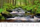 Kalendář Šumava
