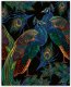 Dřevěný obraz Peacocks Dřevěný obraz Peacocks