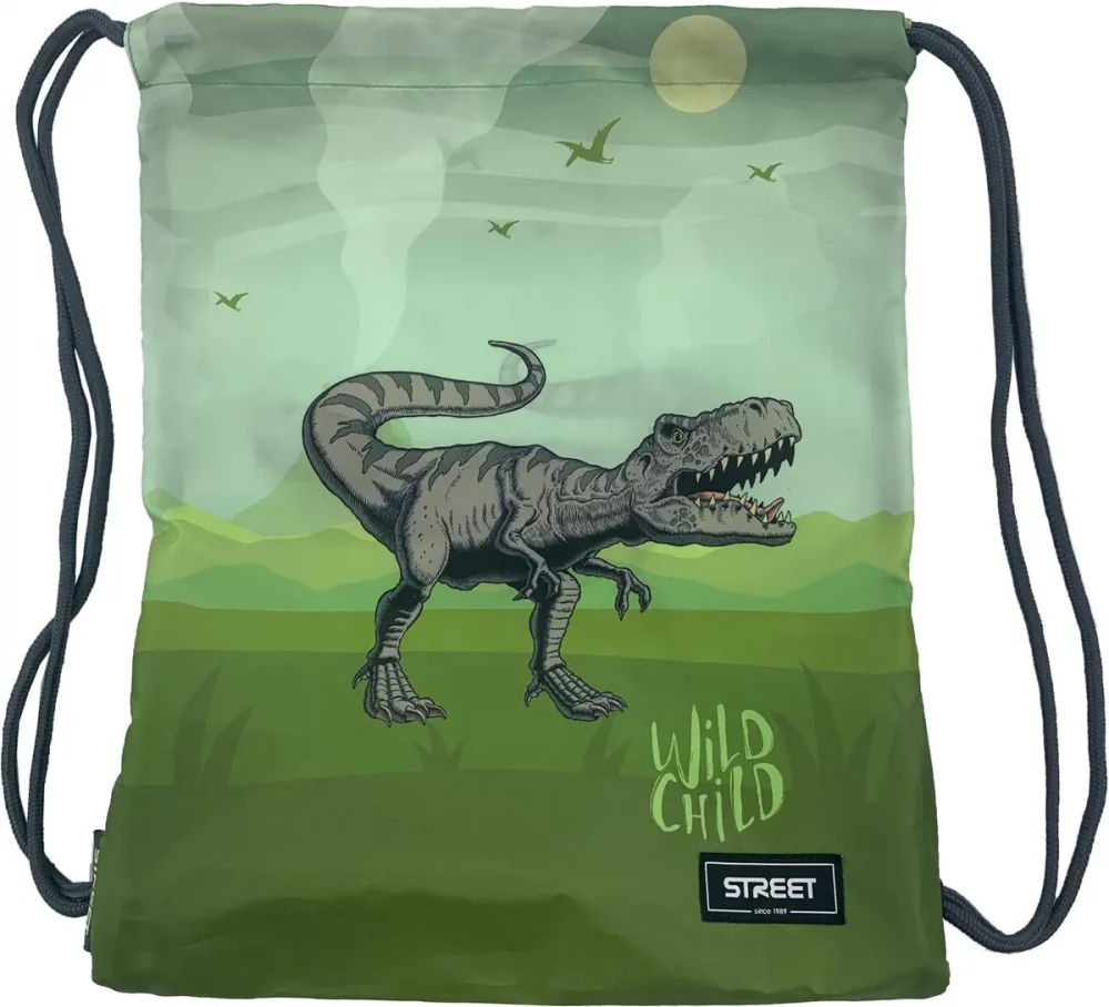 Školní set Dinosaur