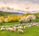 Kalendár Slovensko - viazanka