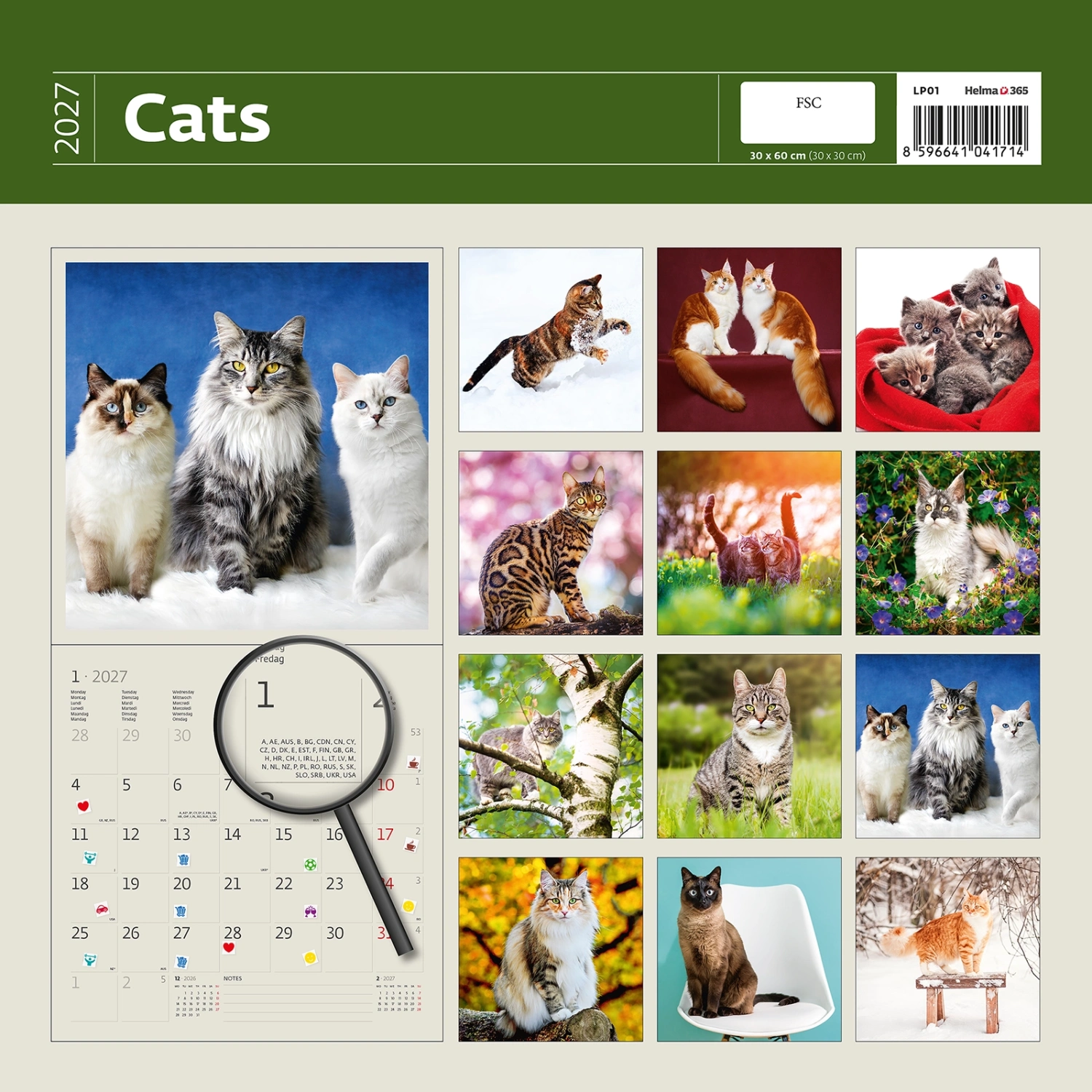 Kalendár Cats