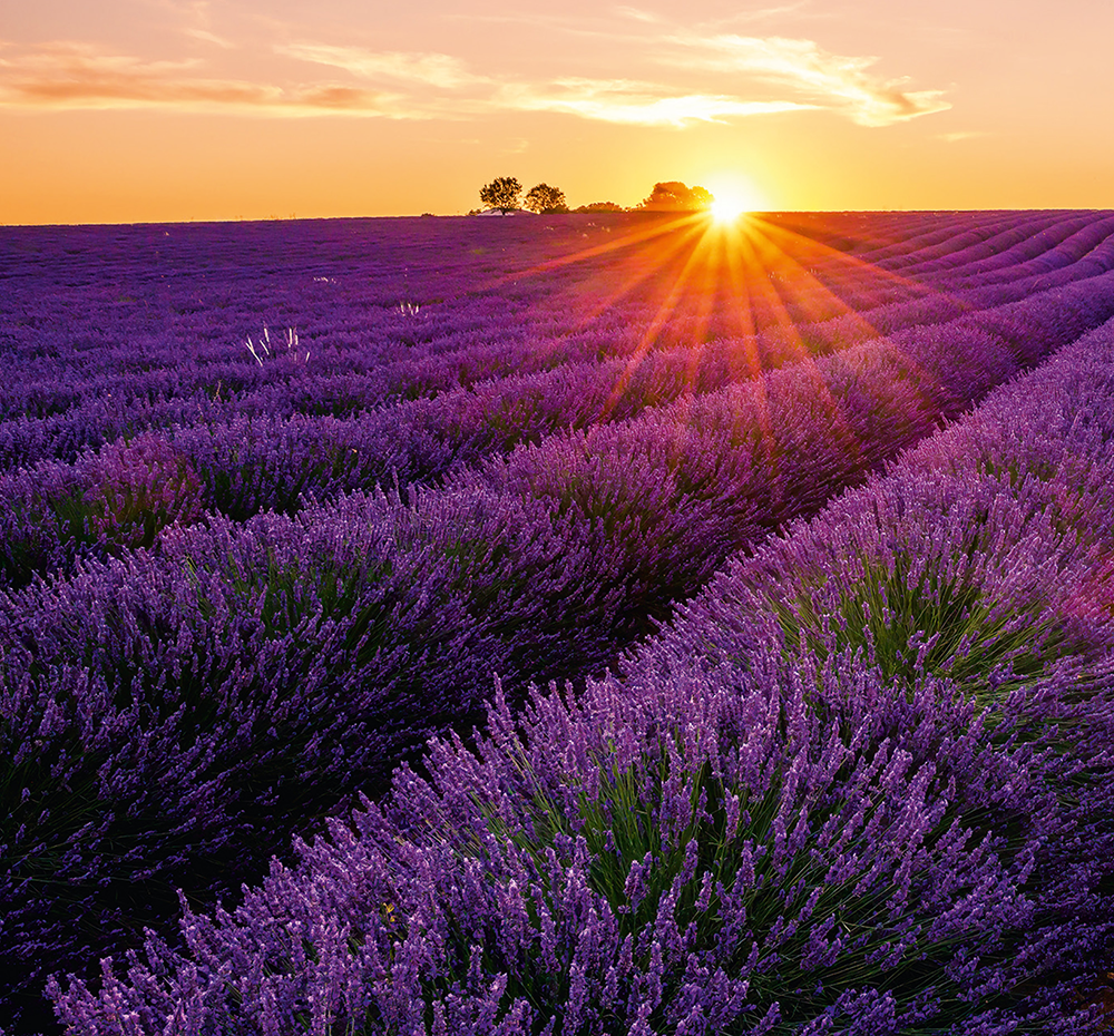 Kalendář Provence - vázanka
