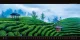 Kalendář Panoramaphoto